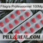 Filagra Professional 100Mg 19